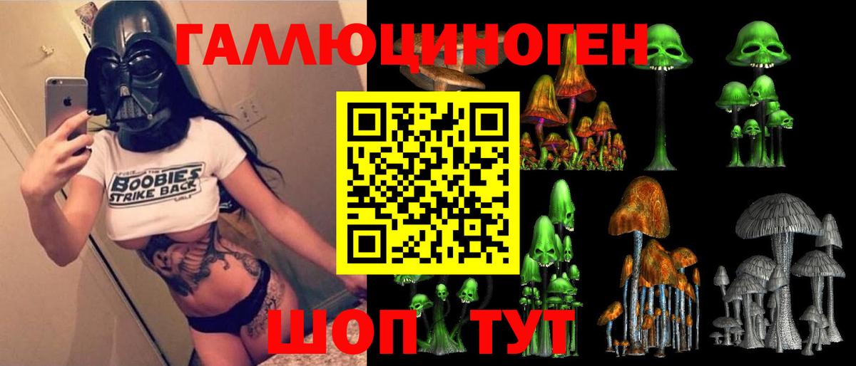 Дивногорск  Галлюциногенные грибы MAGIC MUSHROOMS  цена   Вход с VPN 