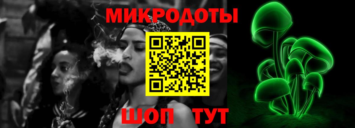 Псилоцибиновые грибы мухоморы Дивногорск