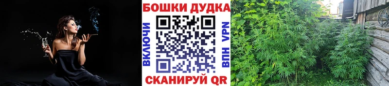 Бошки Шишки индика  купить наркотики цена  hydra как войти  Дивногорск 